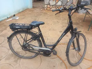 Original German Electric Bike