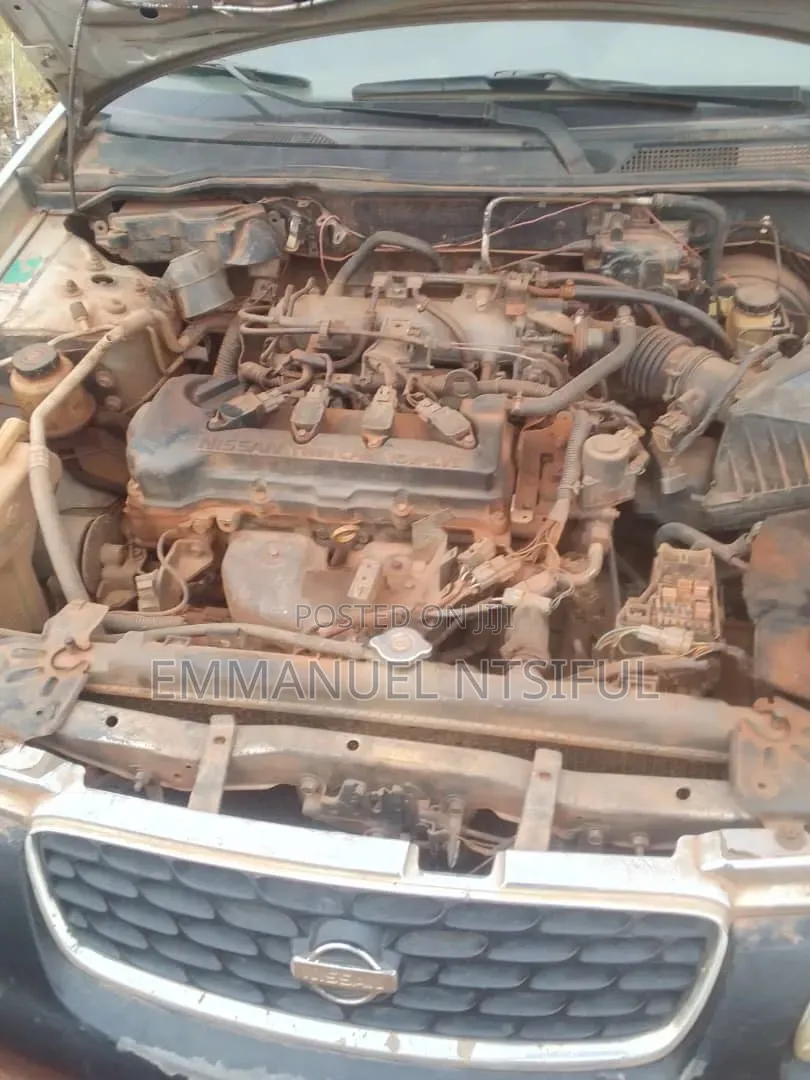 Nissan Sentra 2001 Gray
