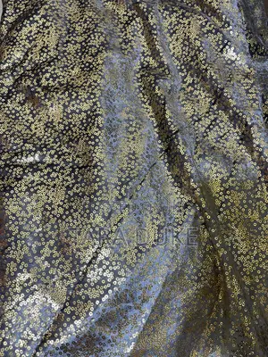 Sequins Fabric