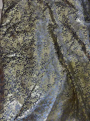 Sequins Fabric
