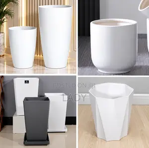 Plant Vase and Pot