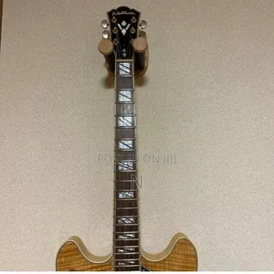 Semi Hollow Body Guitar