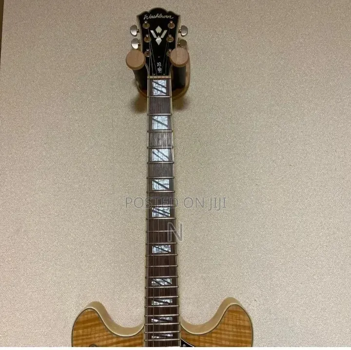 Semi Hollow Body Guitar