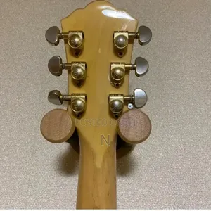 Semi Hollow Body Guitar