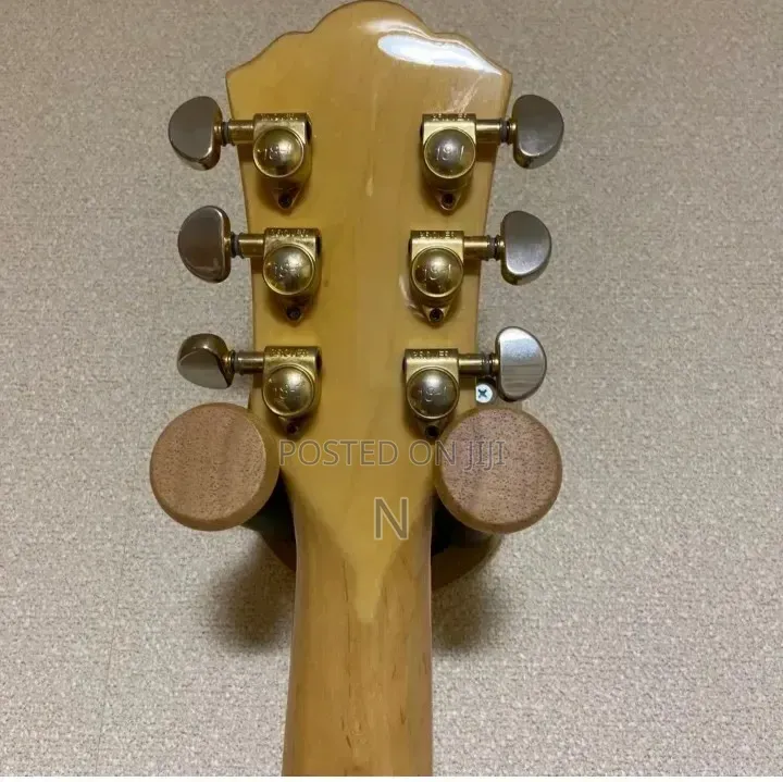 Semi Hollow Body Guitar