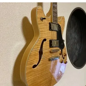 Semi Hollow Body Guitar