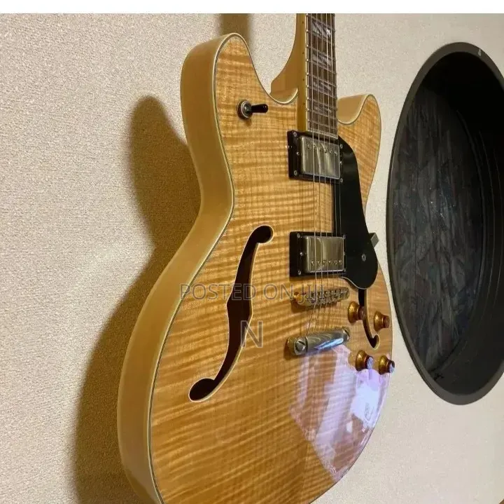 Semi Hollow Body Guitar