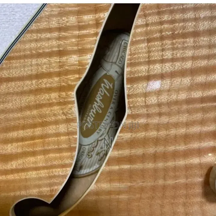 Semi Hollow Body Guitar