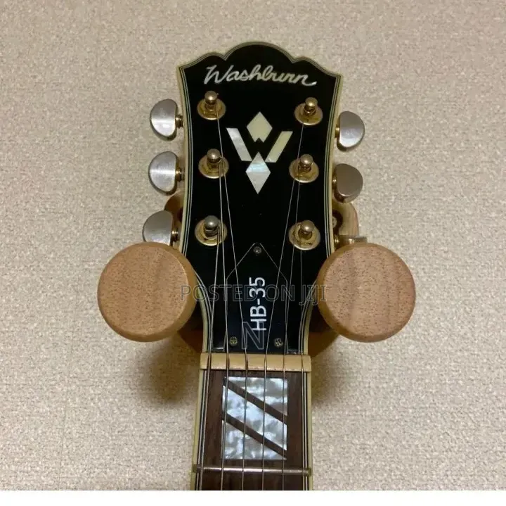 Semi Hollow Body Guitar