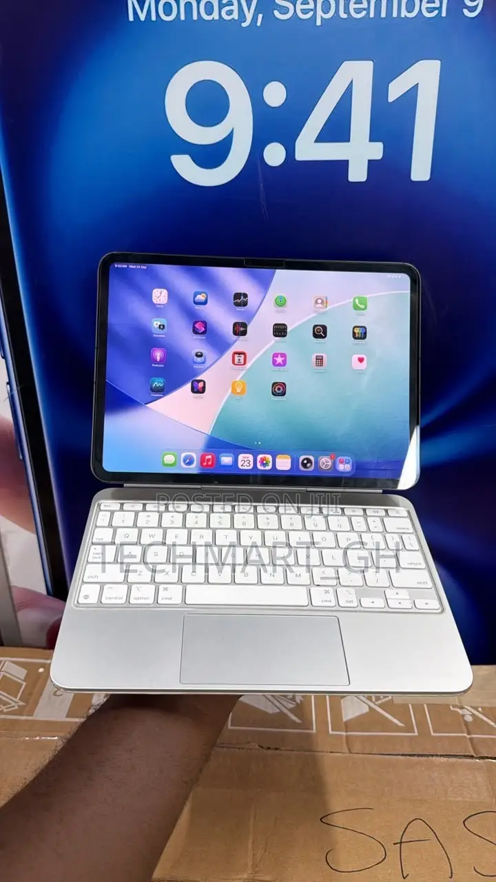 Apple iPad Pro 11 (2024) 256 GB Gray