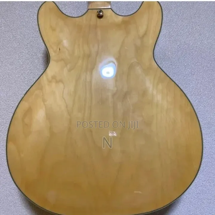 Semi Hollow Body Guitar
