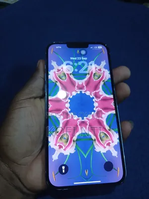 Apple iPhone 13 Pro Max 128 GB Gray