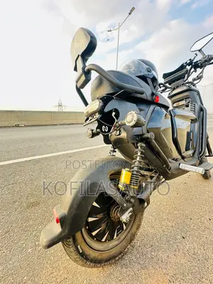 Electric Bike