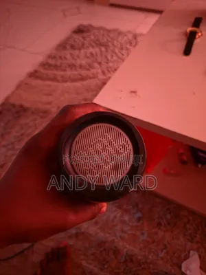 JBL Pulse 4