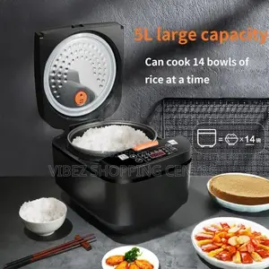 Modern Original Germany Electric Silver Crest Rice Cooker