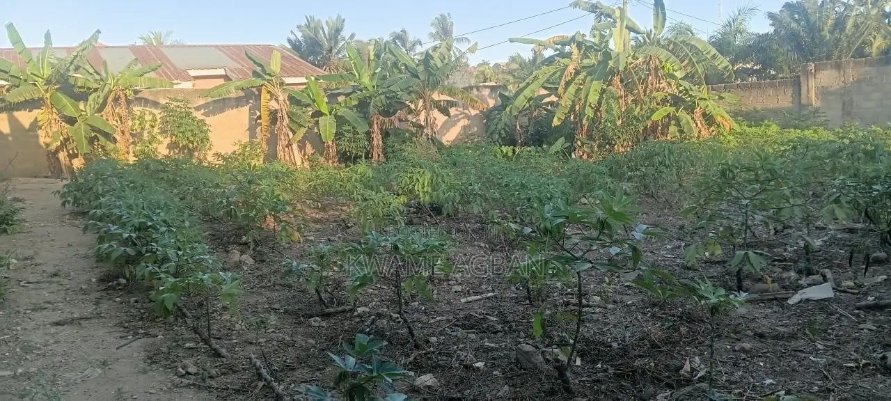 Land for Sale at Fetteh Kakraba, Gomoa East