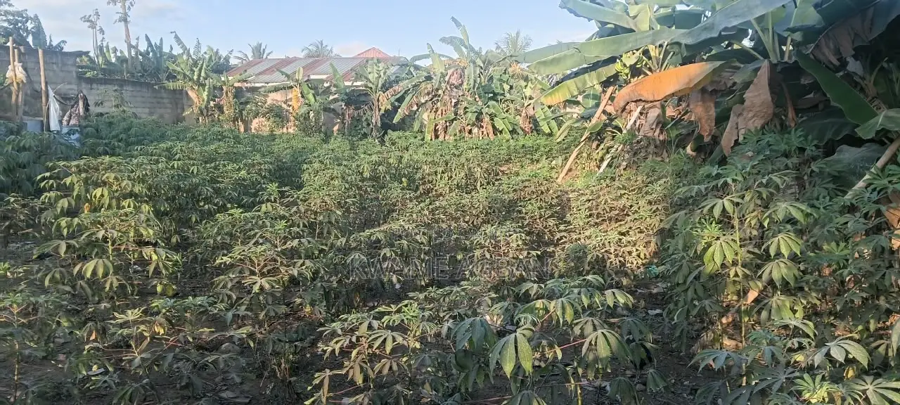 Land for Sale at Fetteh Kakraba, Gomoa East