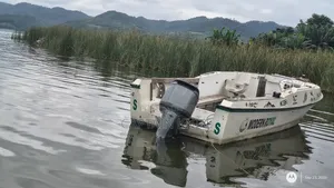 Very Large Speedboat on Sale