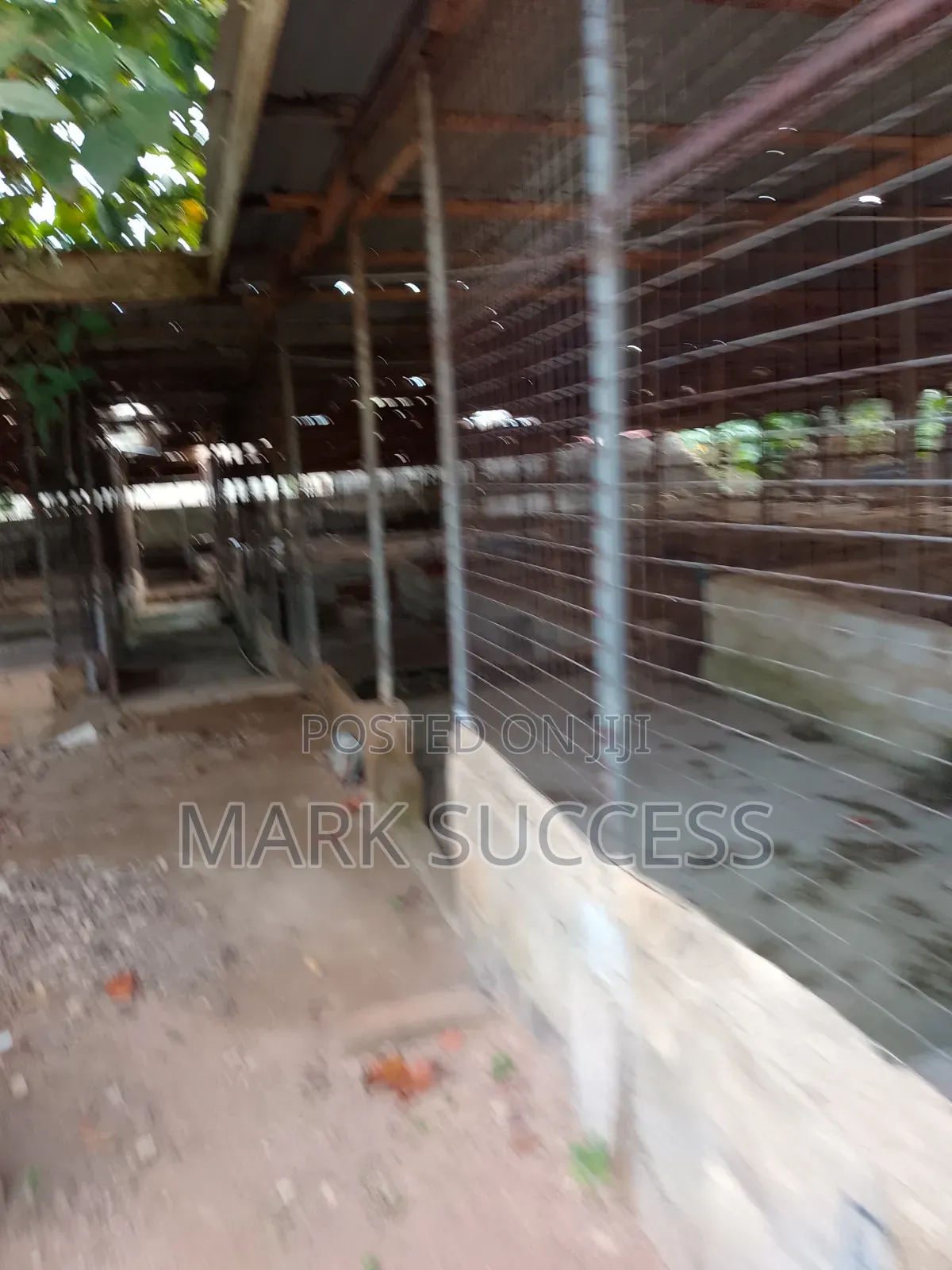 Two Plots, Two Bedrooms, Large Fish Farm Construction Selling
