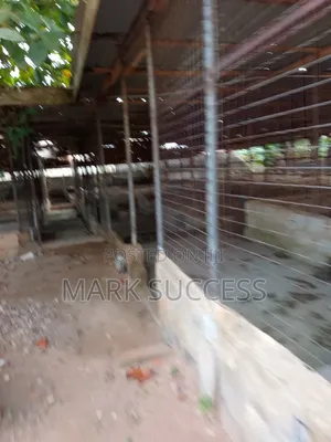Two Plots, Two Bedrooms, Large Fish Farm Construction Selling