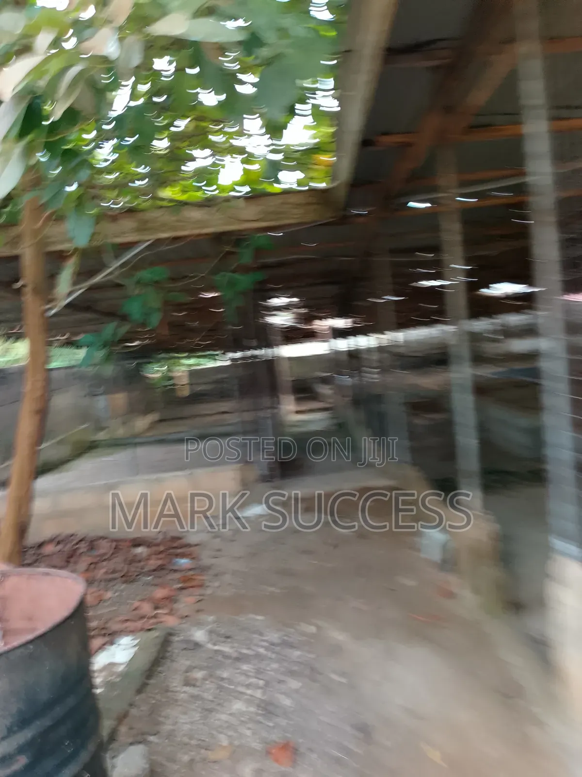 Two Plots, Two Bedrooms, Large Fish Farm Construction Selling