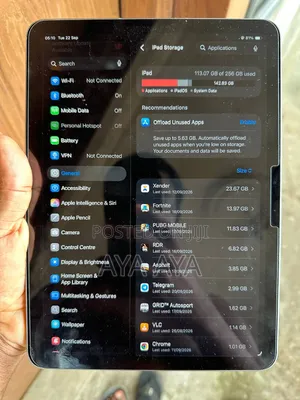 Apple iPad Air 11 (2024) 256 GB Gray