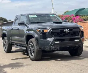 Toyota Tacoma 2024 Gray