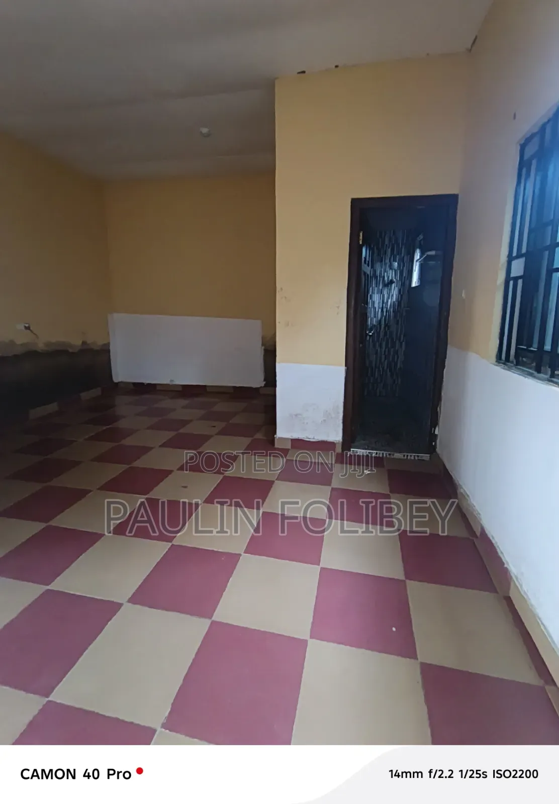 1bdrm Apartment in Dg Property, CP for rent