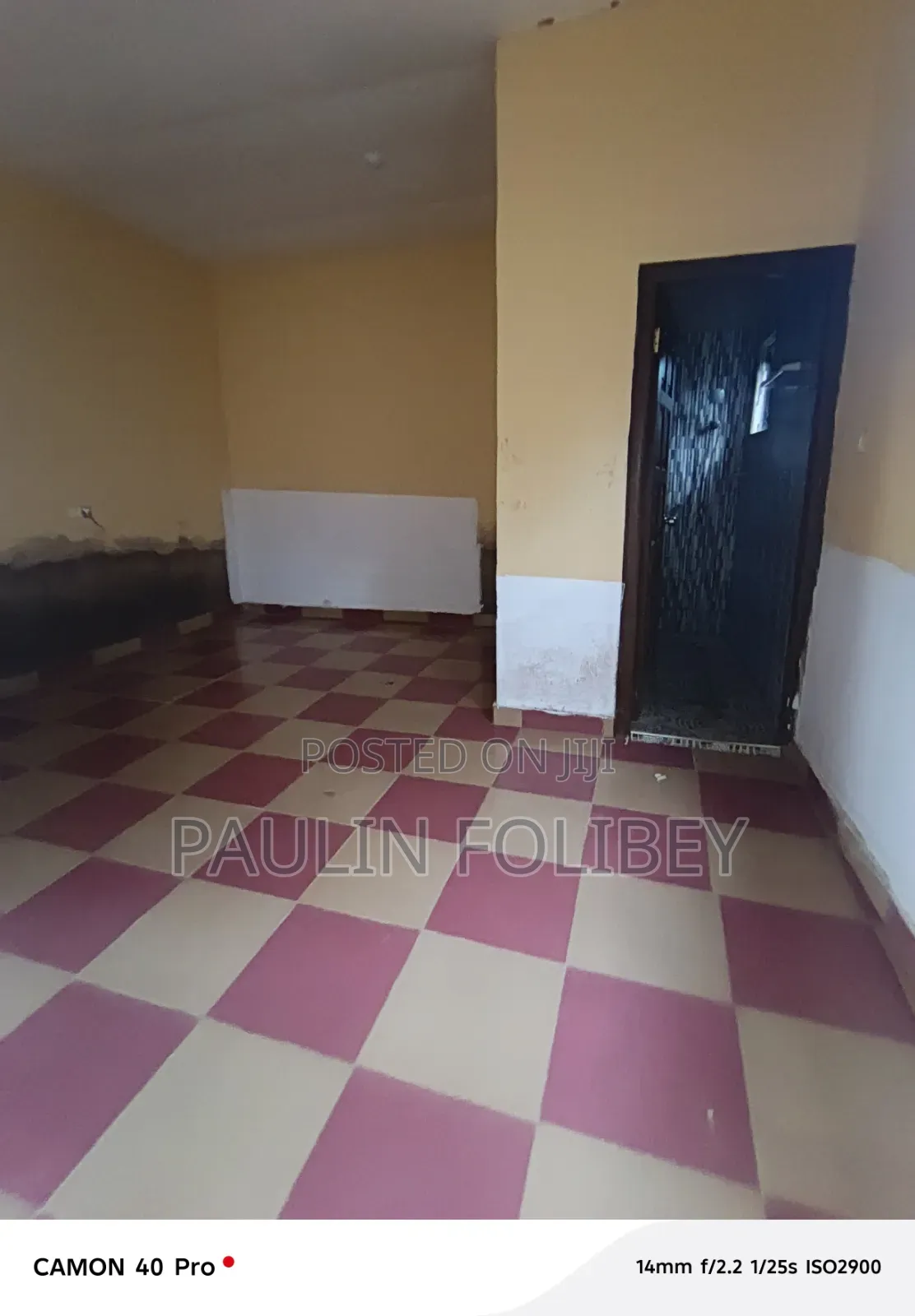 1bdrm Apartment in Dg Property, CP for rent