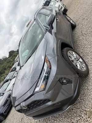 Toyota RAV4 Limited 2025 Gray