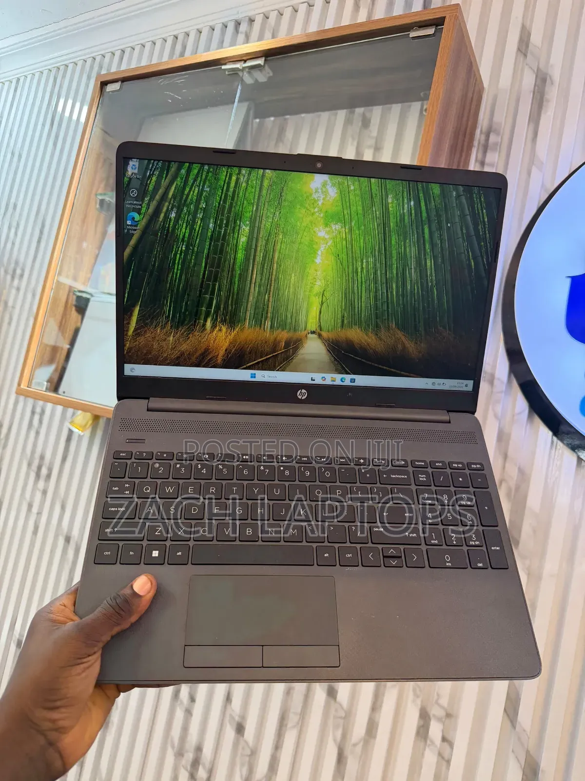 Laptop HP 255 G8 8GB AMD Ryzen 5 SSD 256GB
