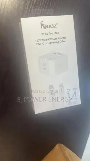 iPhone Original Charger
