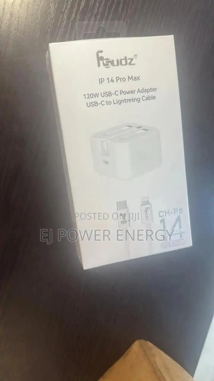 iPhone Original Charger