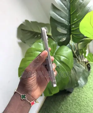 Apple iPhone 16 Pro Max 512 GB Silver