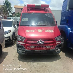 Hyundai Global 900 2015 Pink