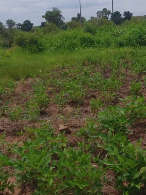 Gravel Plots Around the Tamale Airport for Sale