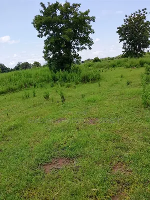 Plots at Jontong-Jangyili for Sale