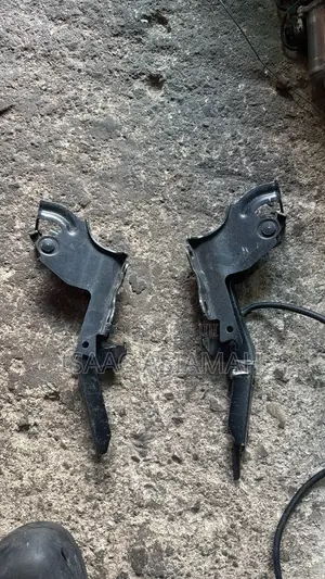 Lexus RX350 2016,2017,2018,2019,2020,2021,2022 Bonnet Hinge / Inches
