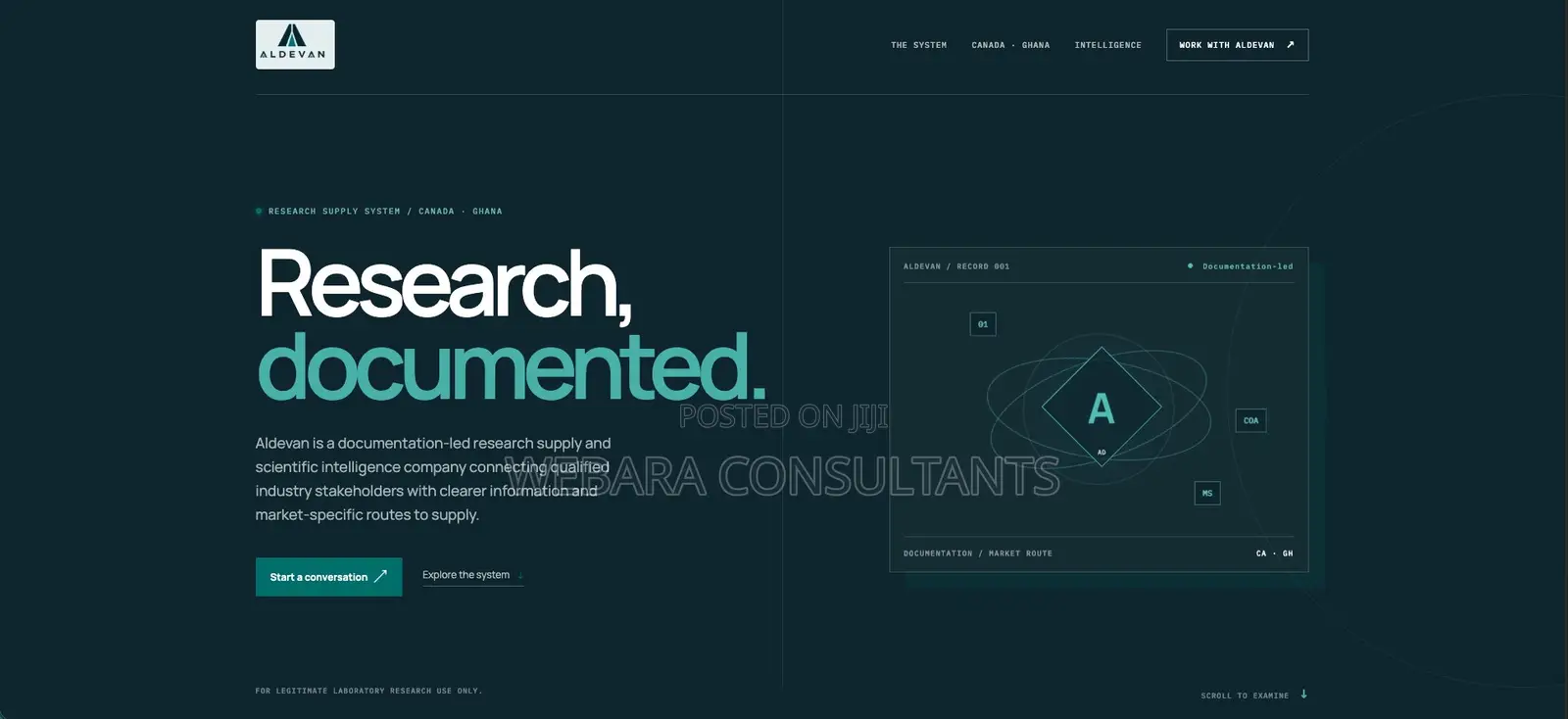 Custom Website for Your Business