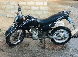 Royal Racer 2019 Black
