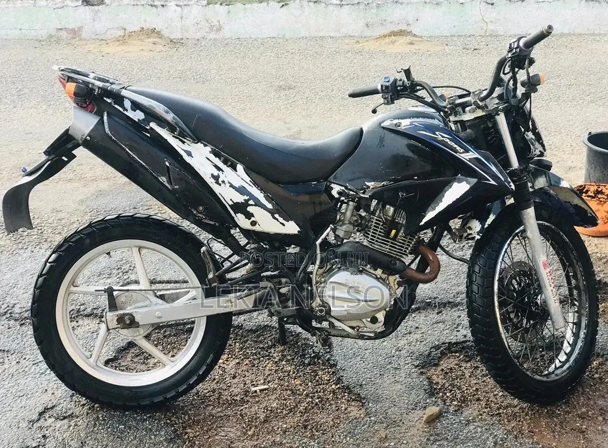 Royal Racer 2019 Black