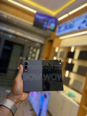 Samsung Galaxy Fold 512 GB Graphite