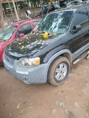 Ford Escape Hybrid 2007 Black