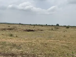 Hassle-Free Registered Land at Zion City Dawhenya