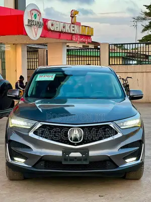 Acura RDX Advance Pkg AWD 2019 Gray