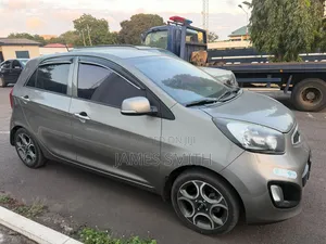 Kia Picanto 2015 Gray