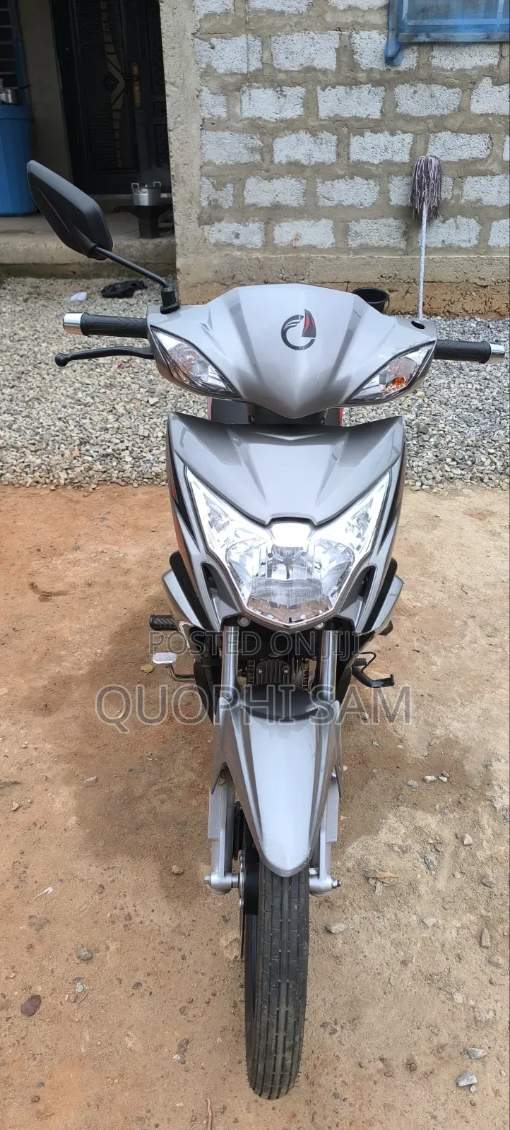 Sonlink SL100 2026 Gray