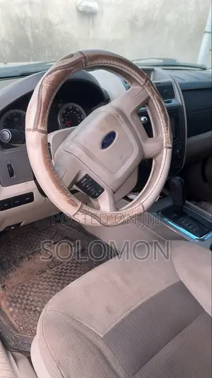Ford Escape 2010 Silver