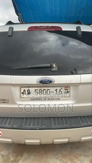 Ford Escape 2010 Silver