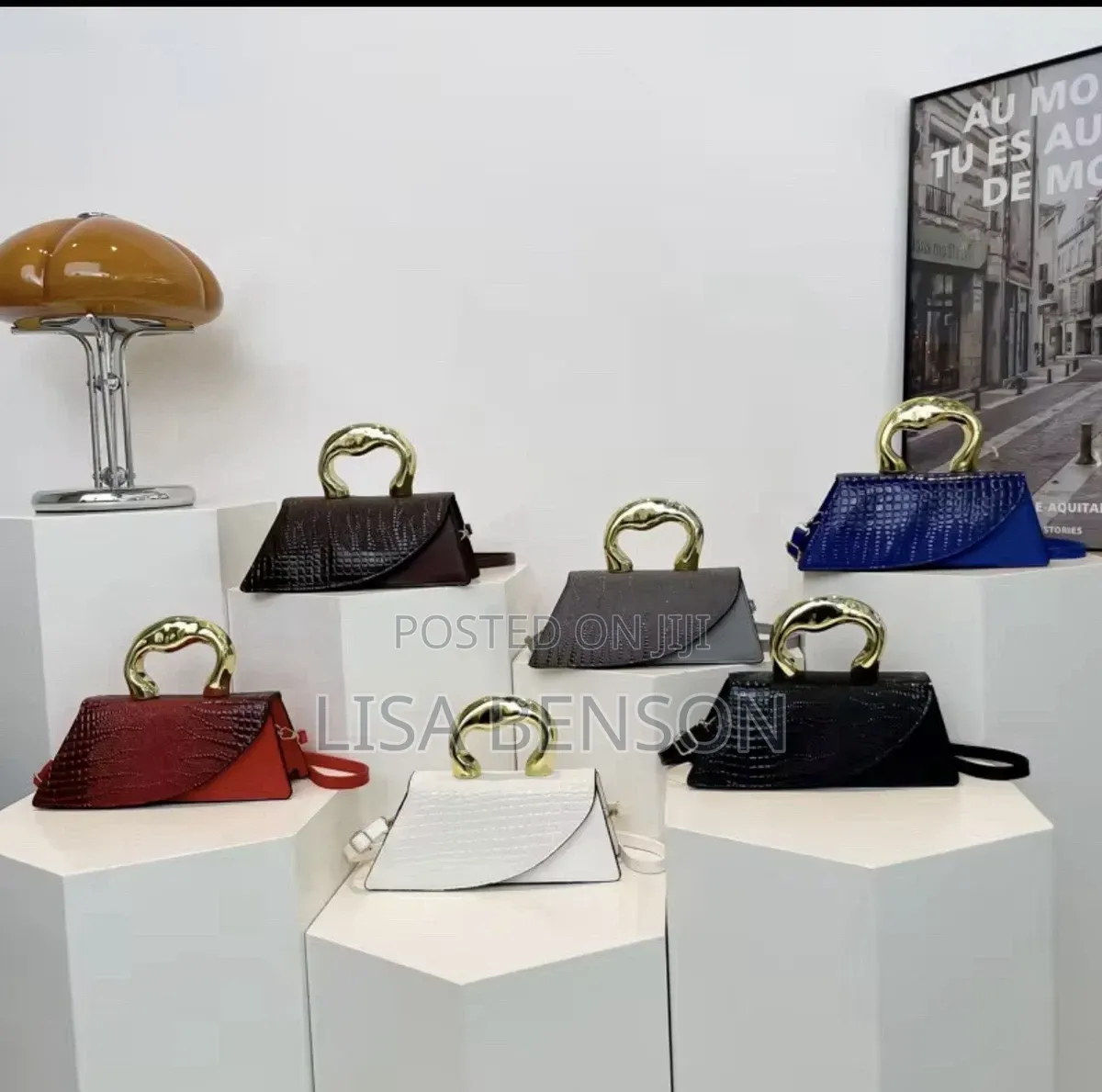 Luxury Ladies Handbag